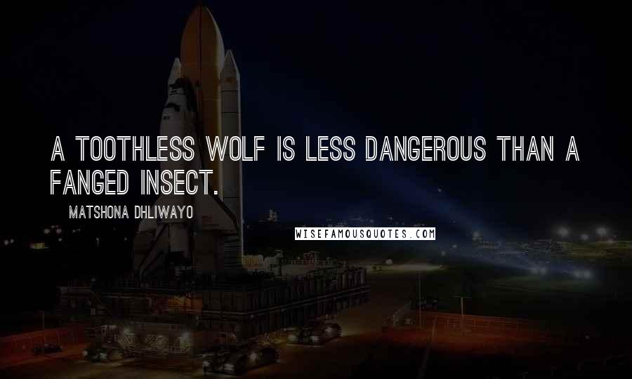 Matshona Dhliwayo Quotes: A toothless wolf is less dangerous than a fanged insect.