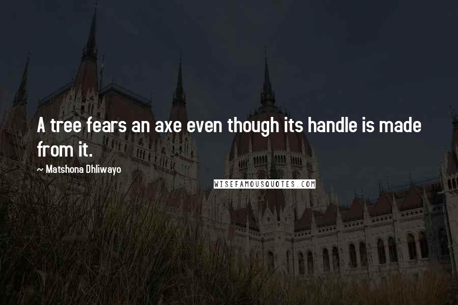 Matshona Dhliwayo Quotes: A tree fears an axe even though its handle is made from it.