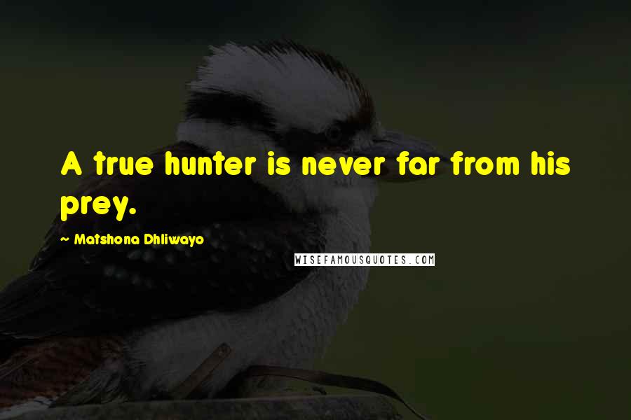 Matshona Dhliwayo Quotes: A true hunter is never far from his prey.