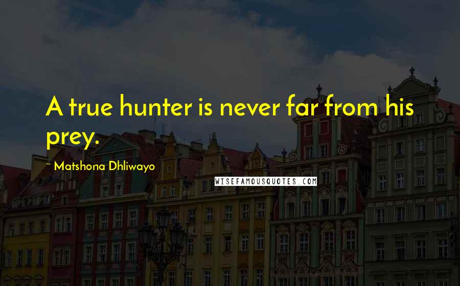 Matshona Dhliwayo Quotes: A true hunter is never far from his prey.