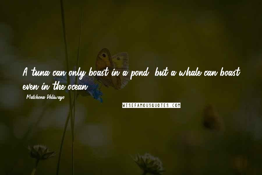 Matshona Dhliwayo Quotes: A tuna can only boast in a pond, but a whale can boast even in the ocean.