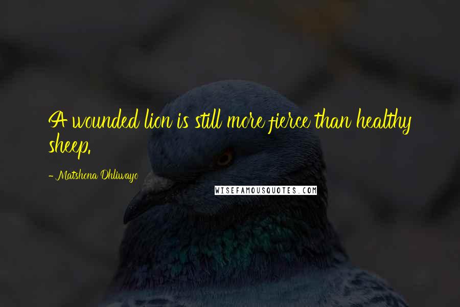 Matshona Dhliwayo Quotes: A wounded lion is still more fierce than healthy sheep.