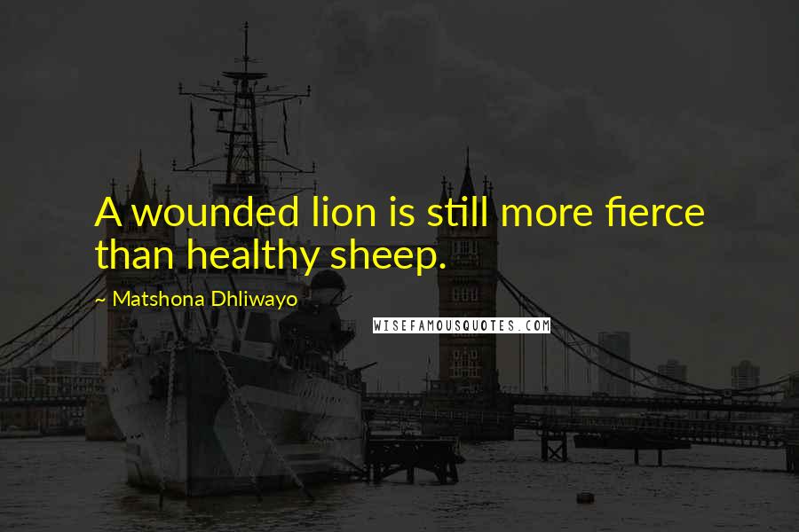 Matshona Dhliwayo Quotes: A wounded lion is still more fierce than healthy sheep.