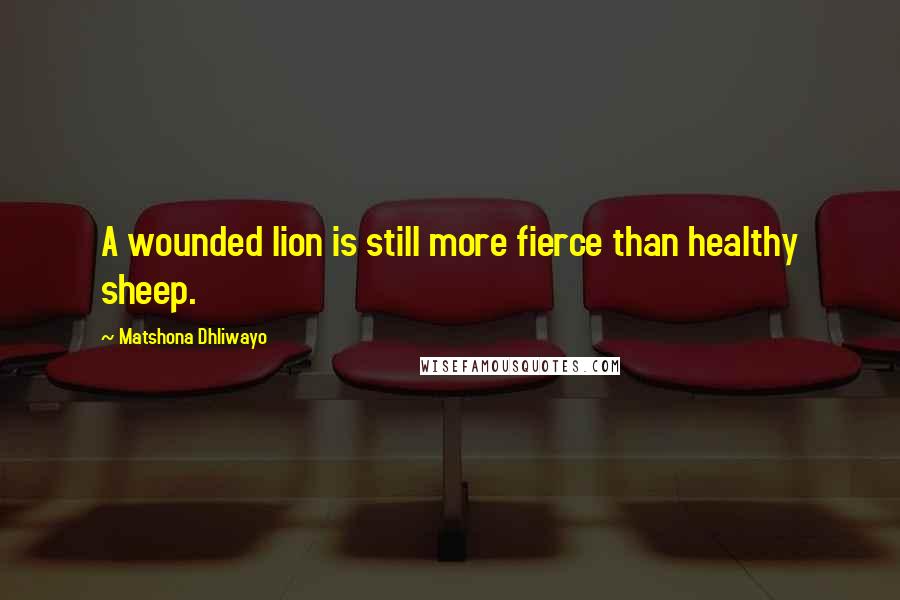 Matshona Dhliwayo Quotes: A wounded lion is still more fierce than healthy sheep.