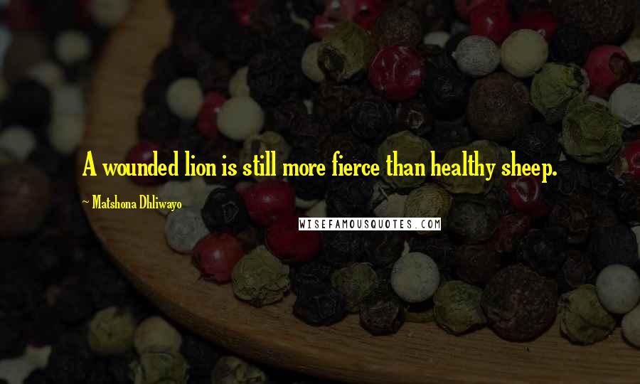 Matshona Dhliwayo Quotes: A wounded lion is still more fierce than healthy sheep.