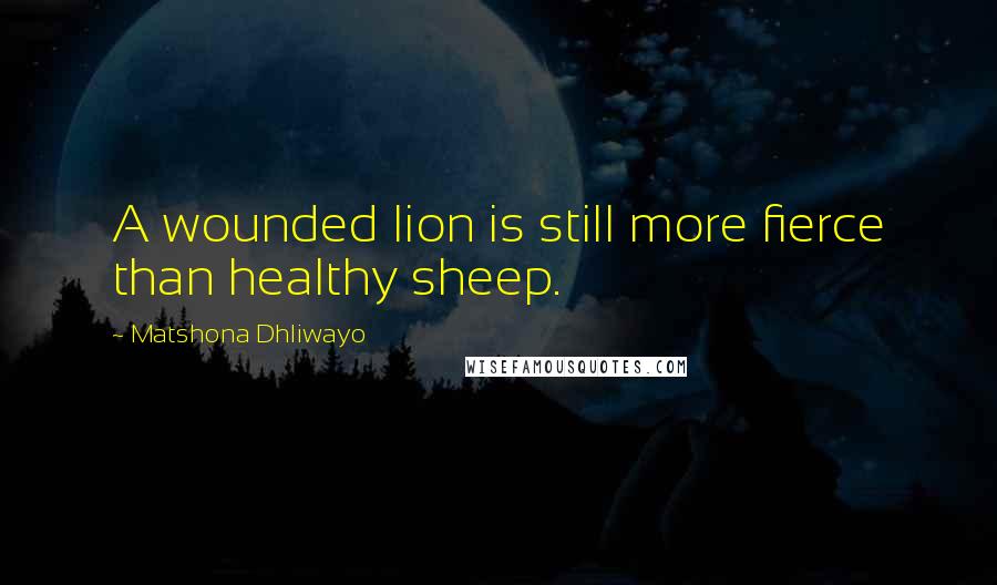 Matshona Dhliwayo Quotes: A wounded lion is still more fierce than healthy sheep.