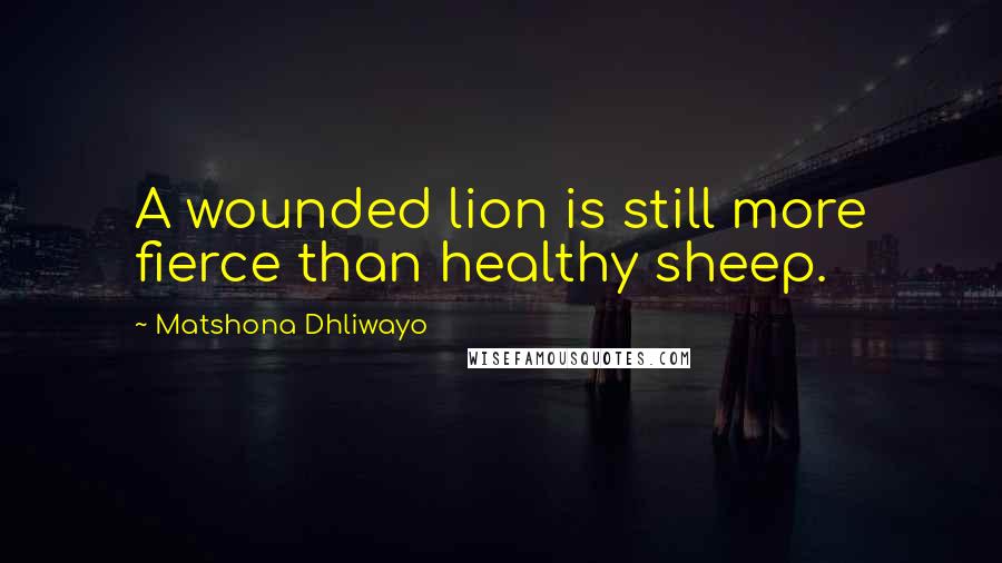 Matshona Dhliwayo Quotes: A wounded lion is still more fierce than healthy sheep.