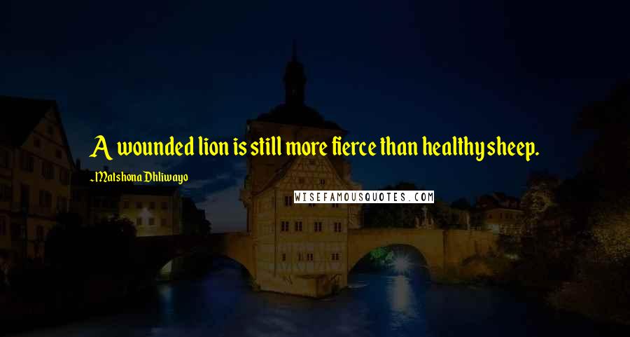 Matshona Dhliwayo Quotes: A wounded lion is still more fierce than healthy sheep.