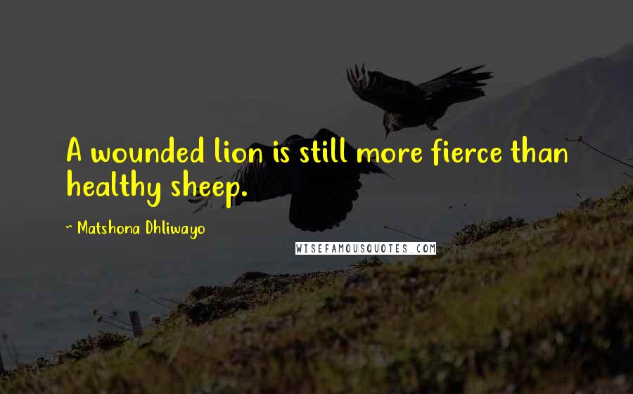 Matshona Dhliwayo Quotes: A wounded lion is still more fierce than healthy sheep.