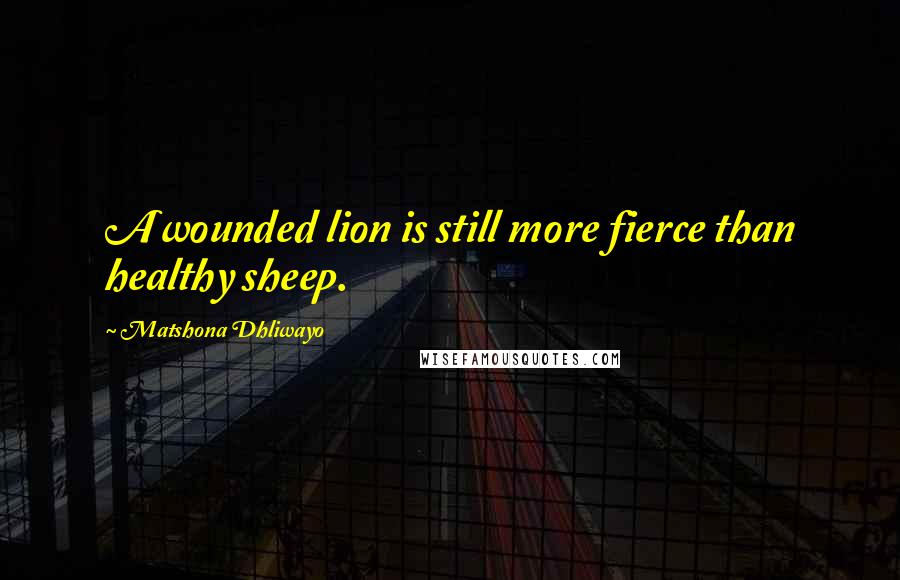 Matshona Dhliwayo Quotes: A wounded lion is still more fierce than healthy sheep.