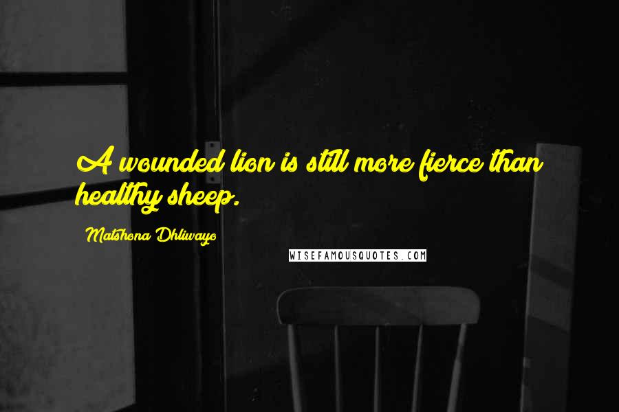 Matshona Dhliwayo Quotes: A wounded lion is still more fierce than healthy sheep.