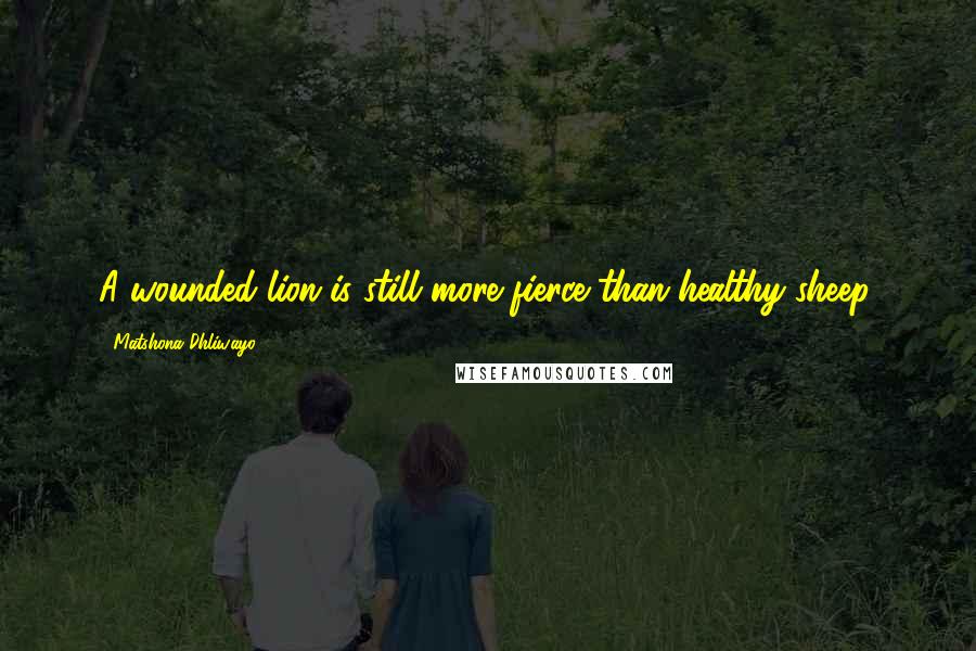 Matshona Dhliwayo Quotes: A wounded lion is still more fierce than healthy sheep.
