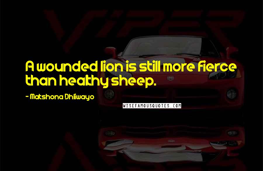 Matshona Dhliwayo Quotes: A wounded lion is still more fierce than healthy sheep.