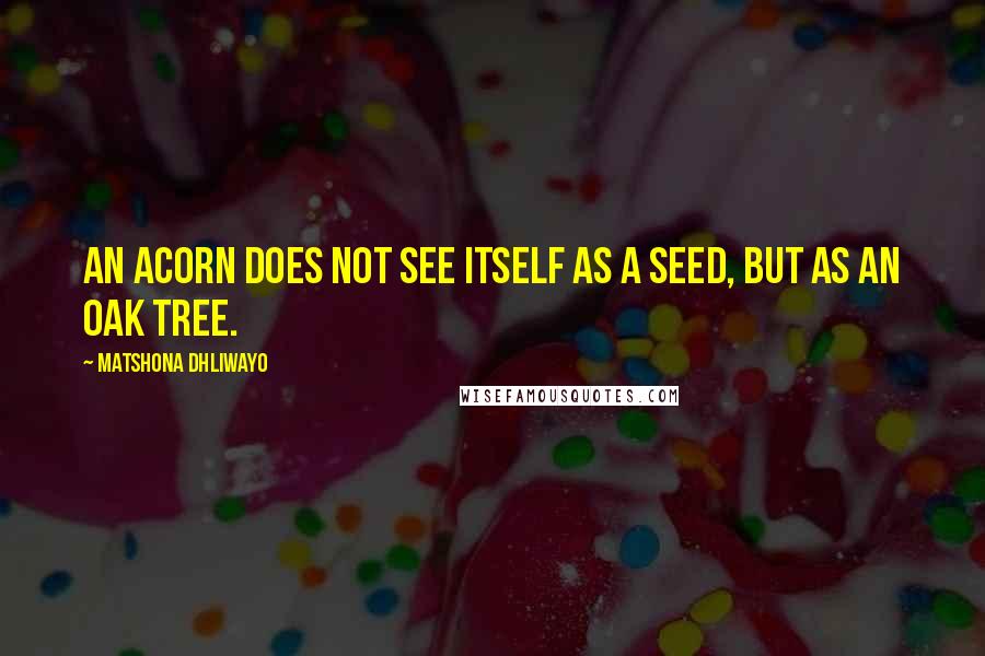 Matshona Dhliwayo Quotes: An acorn does not see itself as a seed, but as an oak tree.