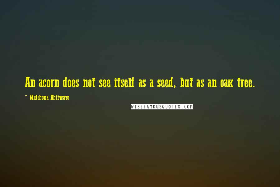 Matshona Dhliwayo Quotes: An acorn does not see itself as a seed, but as an oak tree.