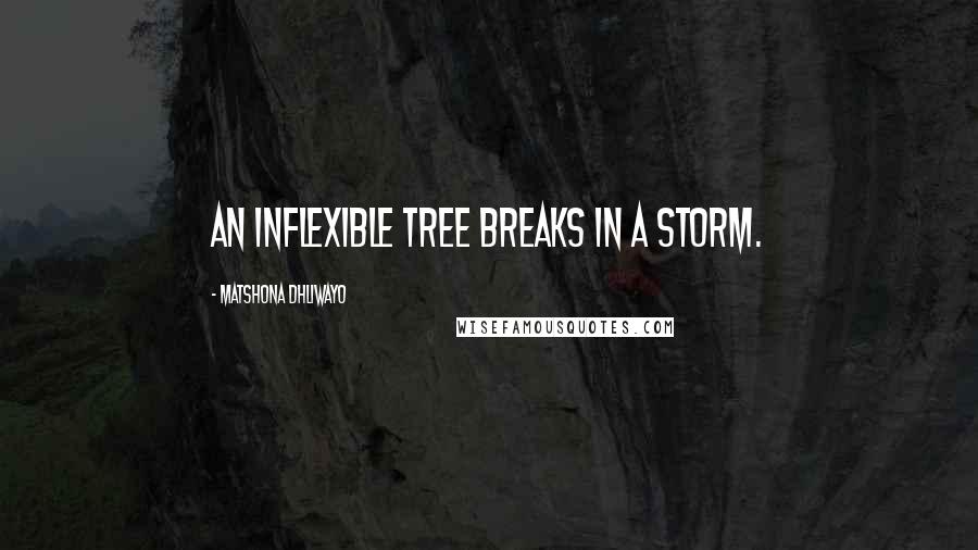 Matshona Dhliwayo Quotes: An inflexible tree breaks in a storm.