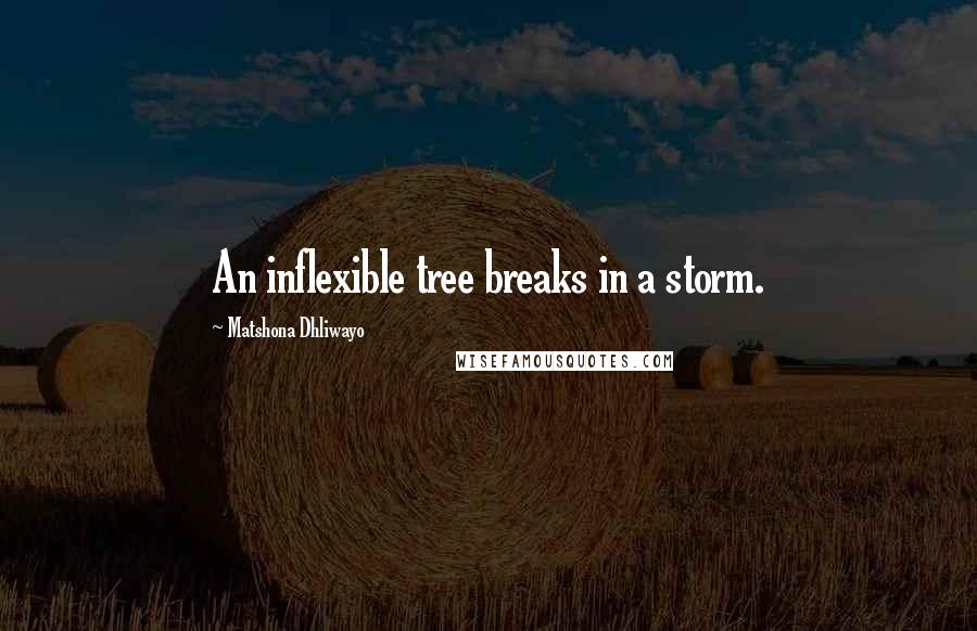 Matshona Dhliwayo Quotes: An inflexible tree breaks in a storm.