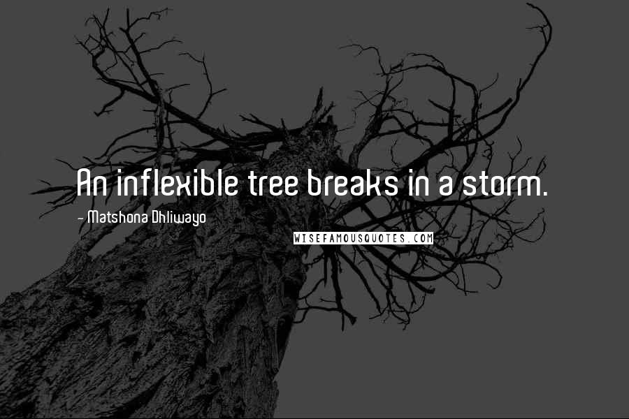 Matshona Dhliwayo Quotes: An inflexible tree breaks in a storm.