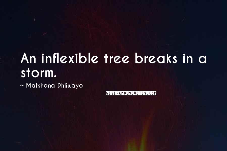 Matshona Dhliwayo Quotes: An inflexible tree breaks in a storm.