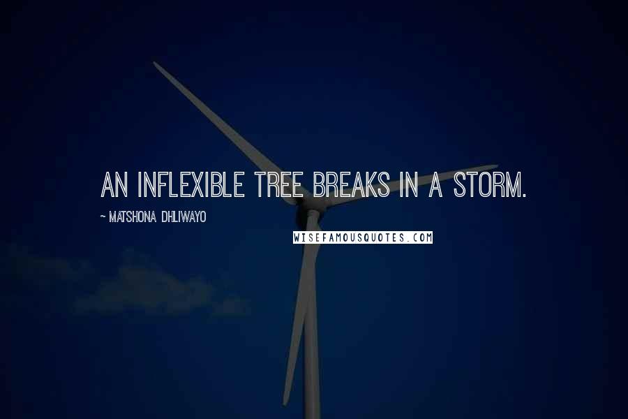 Matshona Dhliwayo Quotes: An inflexible tree breaks in a storm.