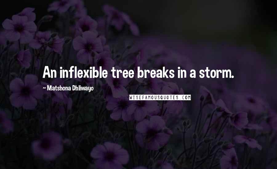 Matshona Dhliwayo Quotes: An inflexible tree breaks in a storm.