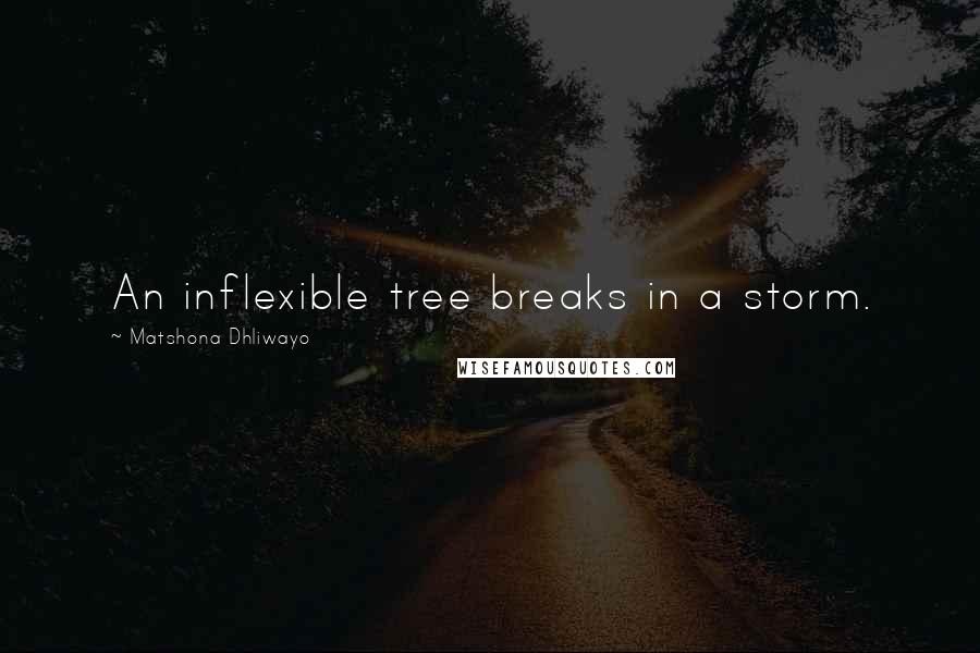 Matshona Dhliwayo Quotes: An inflexible tree breaks in a storm.