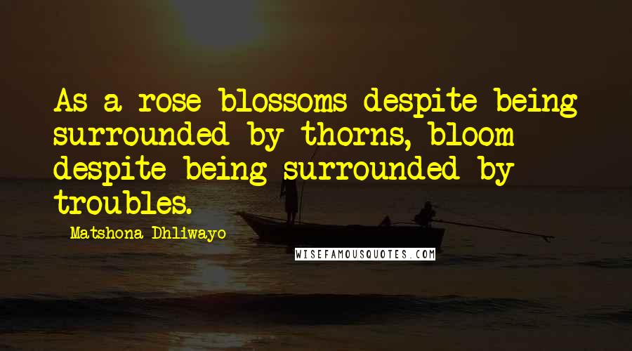 Matshona Dhliwayo Quotes: As a rose blossoms despite being surrounded by thorns, bloom despite being surrounded by troubles.