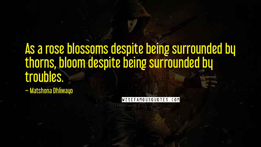 Matshona Dhliwayo Quotes: As a rose blossoms despite being surrounded by thorns, bloom despite being surrounded by troubles.