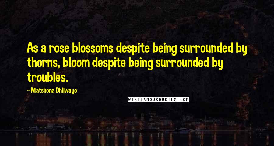 Matshona Dhliwayo Quotes: As a rose blossoms despite being surrounded by thorns, bloom despite being surrounded by troubles.