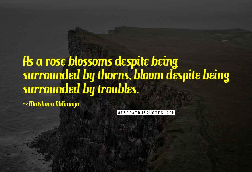 Matshona Dhliwayo Quotes: As a rose blossoms despite being surrounded by thorns, bloom despite being surrounded by troubles.