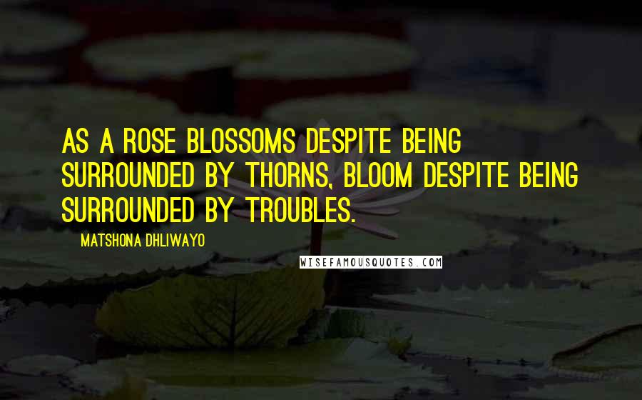 Matshona Dhliwayo Quotes: As a rose blossoms despite being surrounded by thorns, bloom despite being surrounded by troubles.