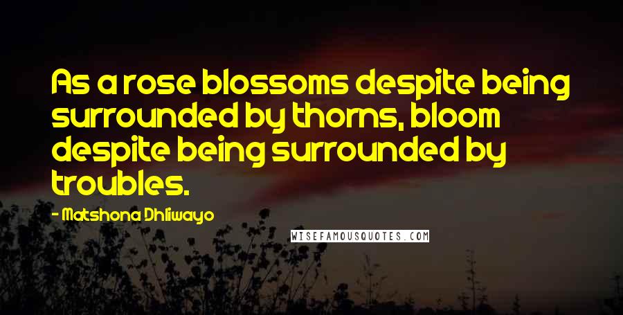 Matshona Dhliwayo Quotes: As a rose blossoms despite being surrounded by thorns, bloom despite being surrounded by troubles.