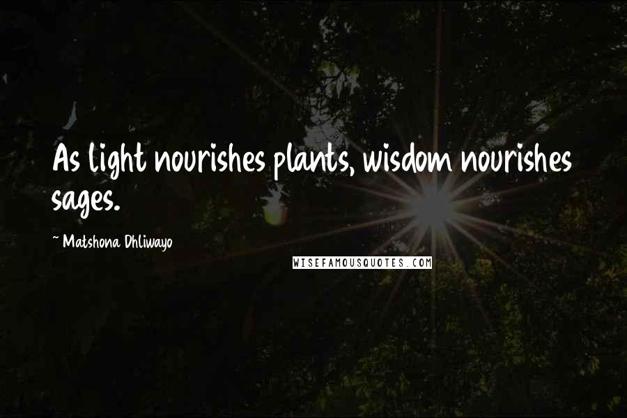 Matshona Dhliwayo Quotes: As light nourishes plants, wisdom nourishes sages.