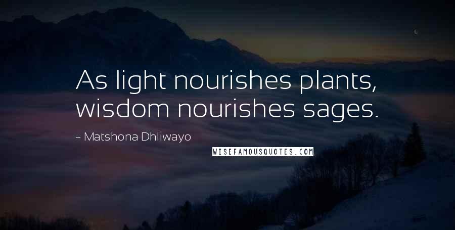 Matshona Dhliwayo Quotes: As light nourishes plants, wisdom nourishes sages.