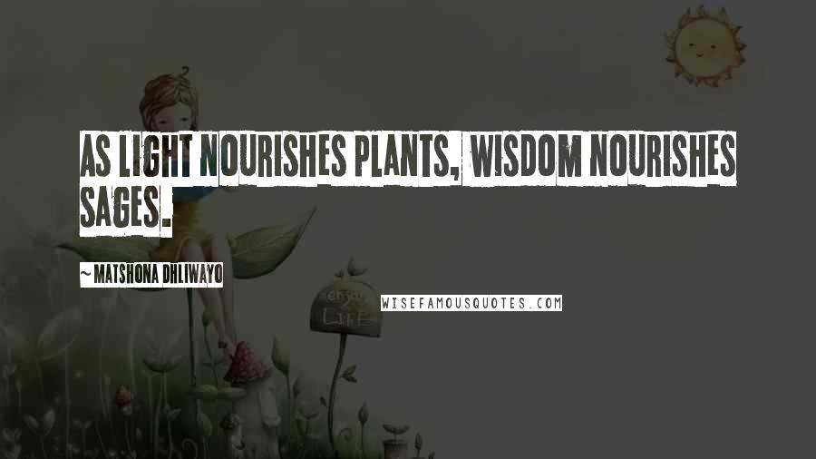 Matshona Dhliwayo Quotes: As light nourishes plants, wisdom nourishes sages.