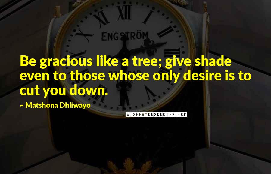 Matshona Dhliwayo Quotes: Be gracious like a tree; give shade even to those whose only desire is to cut you down.