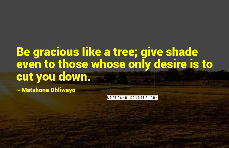 Matshona Dhliwayo Quotes: Be gracious like a tree; give shade even to those whose only desire is to cut you down.