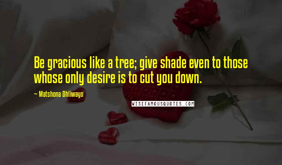 Matshona Dhliwayo Quotes: Be gracious like a tree; give shade even to those whose only desire is to cut you down.