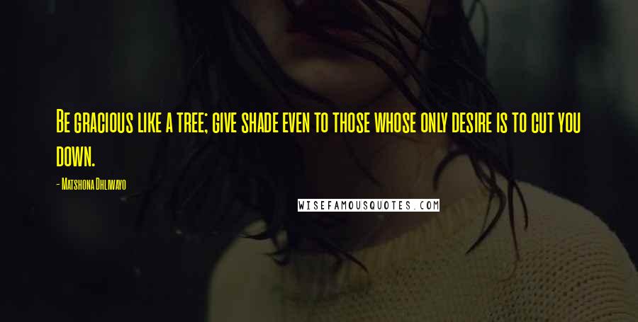 Matshona Dhliwayo Quotes: Be gracious like a tree; give shade even to those whose only desire is to cut you down.