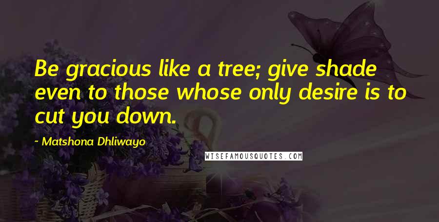 Matshona Dhliwayo Quotes: Be gracious like a tree; give shade even to those whose only desire is to cut you down.