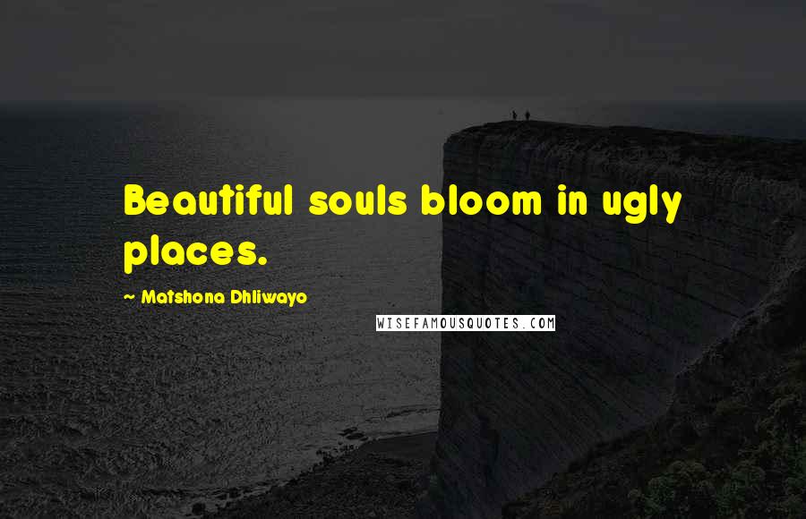 Matshona Dhliwayo Quotes: Beautiful souls bloom in ugly places.