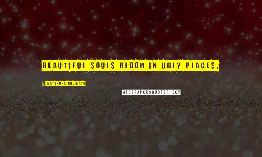 Matshona Dhliwayo Quotes: Beautiful souls bloom in ugly places.