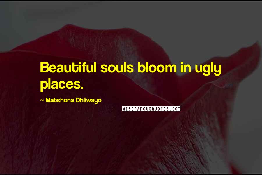 Matshona Dhliwayo Quotes: Beautiful souls bloom in ugly places.