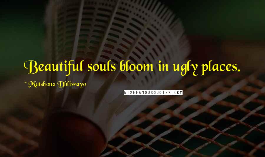 Matshona Dhliwayo Quotes: Beautiful souls bloom in ugly places.