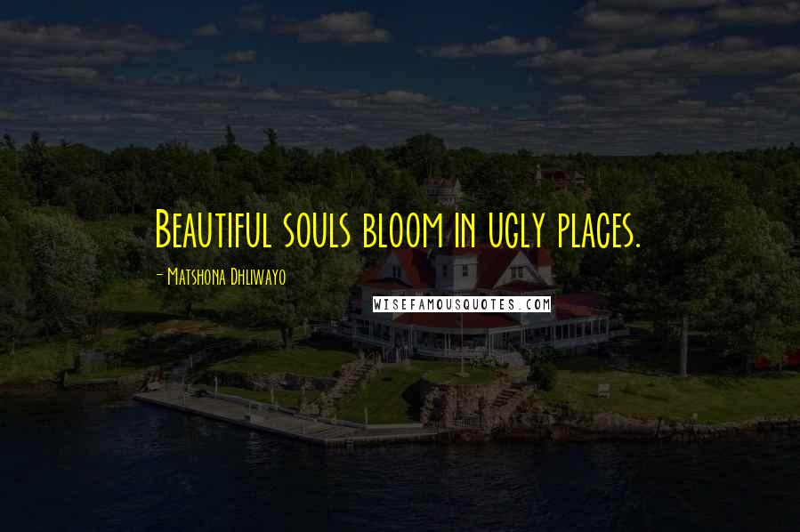 Matshona Dhliwayo Quotes: Beautiful souls bloom in ugly places.