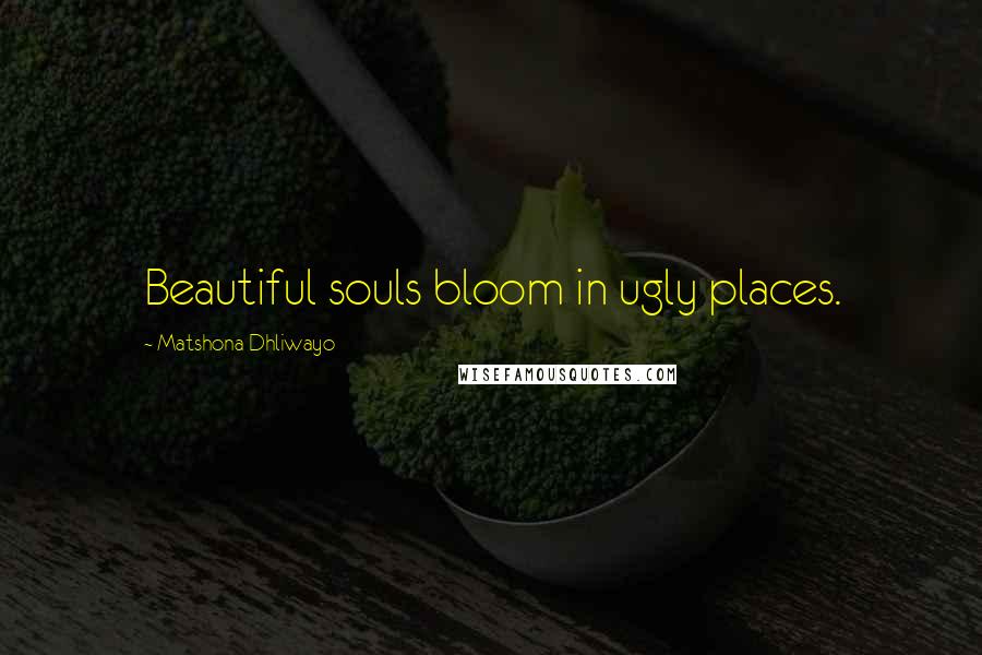 Matshona Dhliwayo Quotes: Beautiful souls bloom in ugly places.