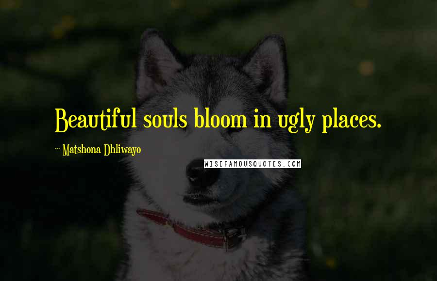 Matshona Dhliwayo Quotes: Beautiful souls bloom in ugly places.