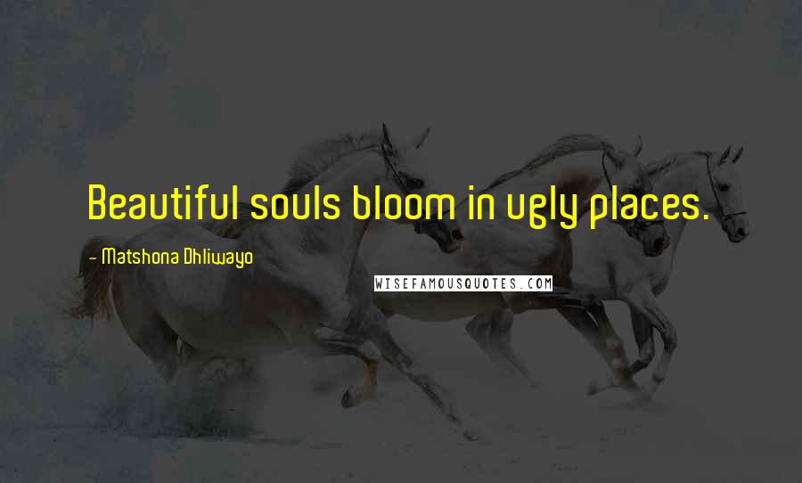 Matshona Dhliwayo Quotes: Beautiful souls bloom in ugly places.