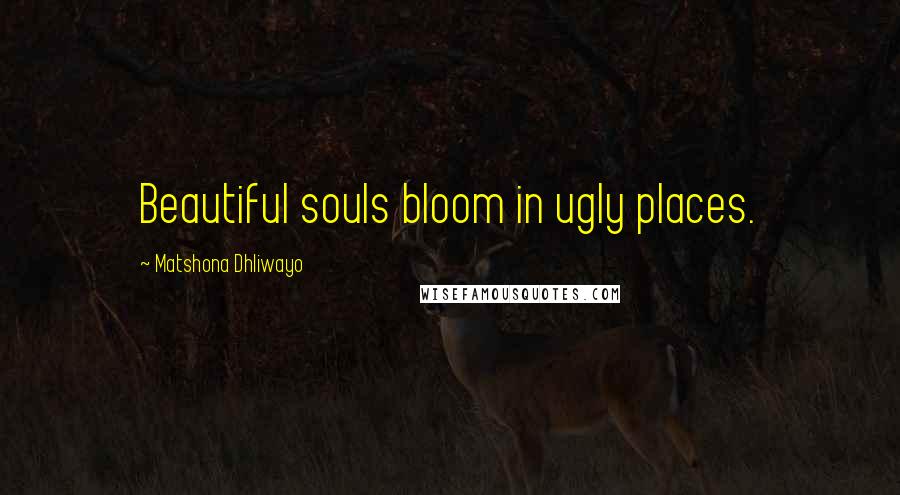 Matshona Dhliwayo Quotes: Beautiful souls bloom in ugly places.