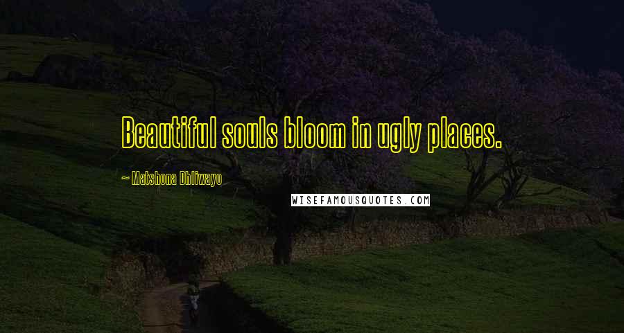 Matshona Dhliwayo Quotes: Beautiful souls bloom in ugly places.